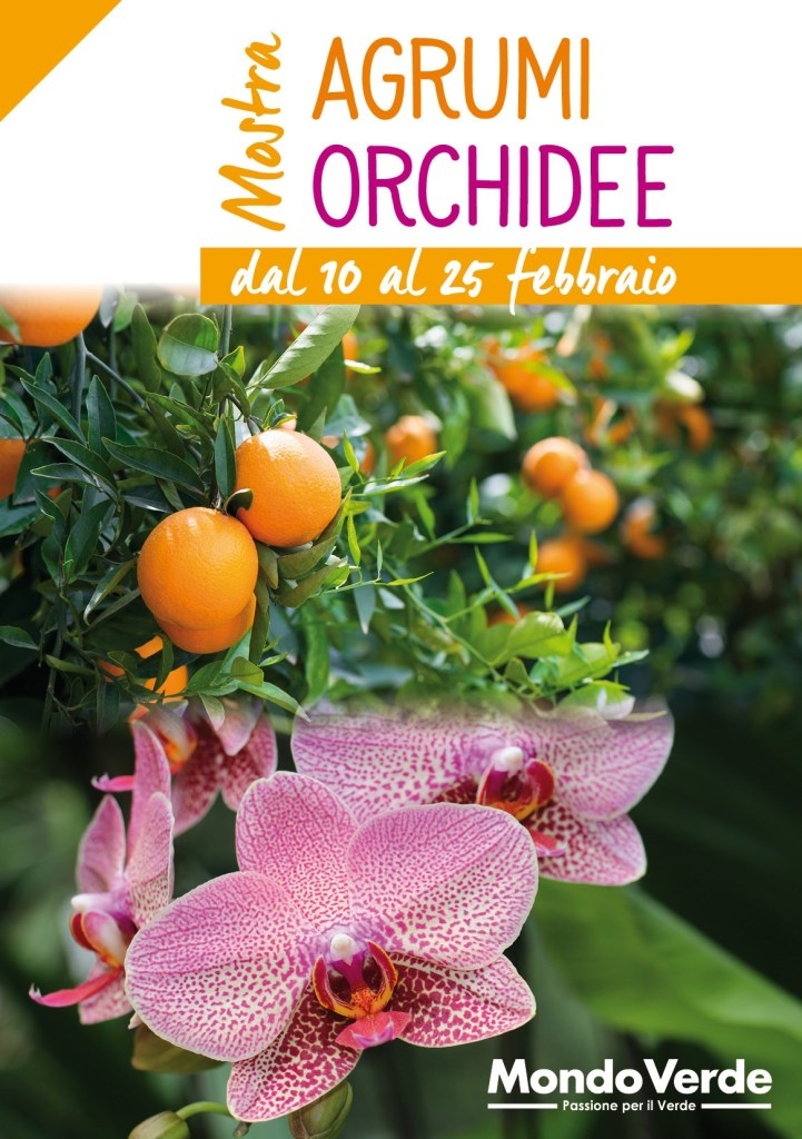 Mostra agrumi orchidee